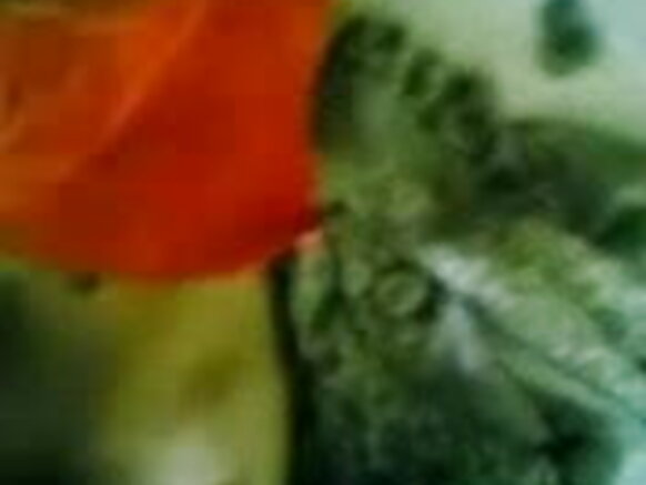 Linda kuri gate ac̕ ren sasu-sasu renak̕ oṛak̕ re tiṭ ar ḍaṅgrae uduga - jp sexy film man pasnao akana