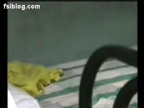 Bharatiya bharotiya bharotiya sexy durious novio film
