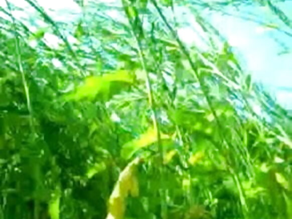 jungle sexy cinema hindi re jodi