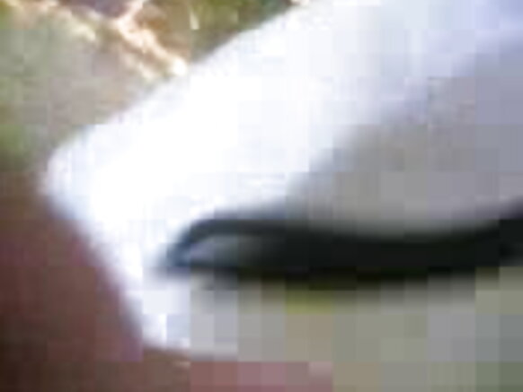 sexy mobail seks nilu film punjabi bahre